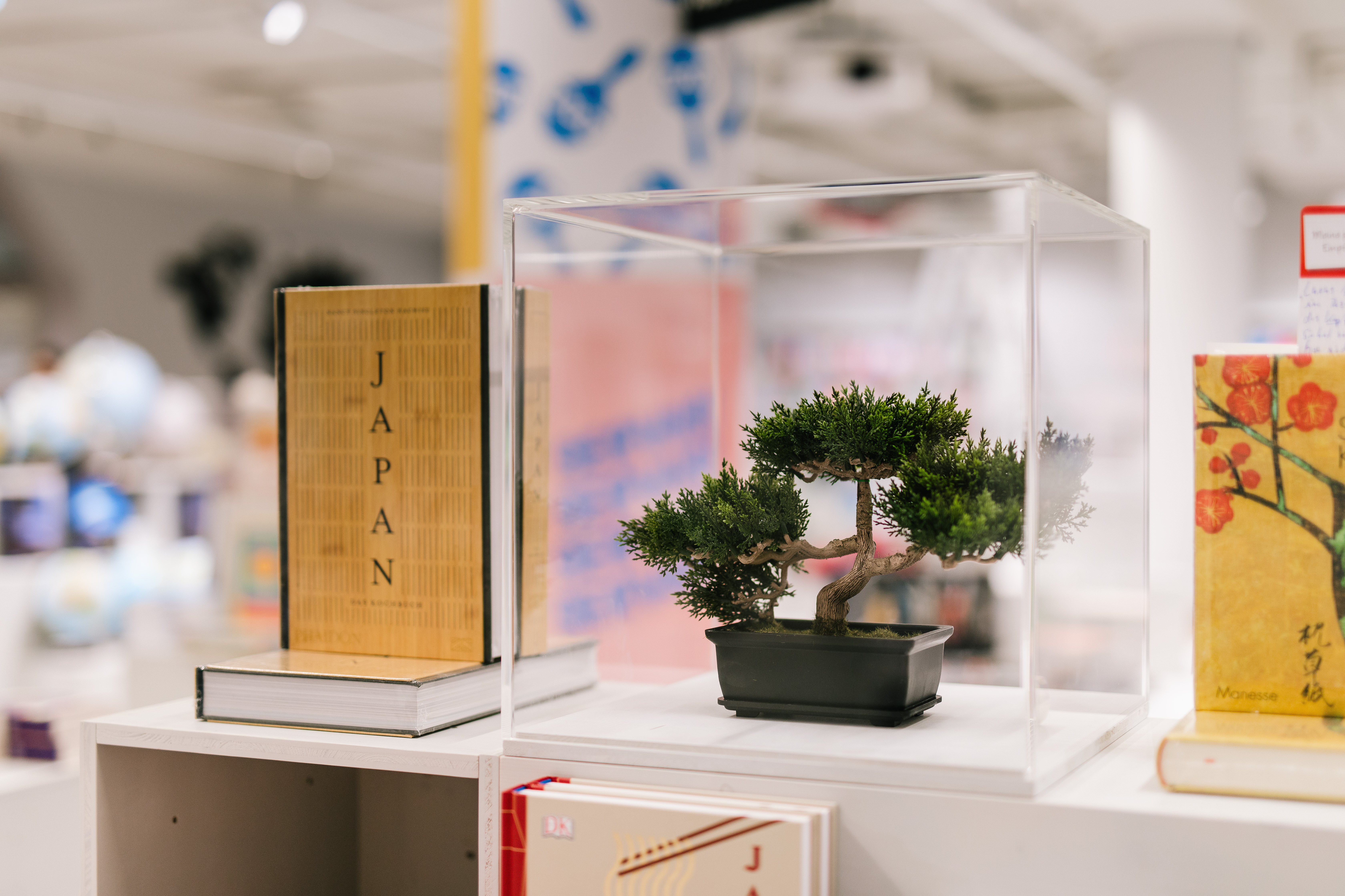 Schwitzke_Hugendubel__I9A4541